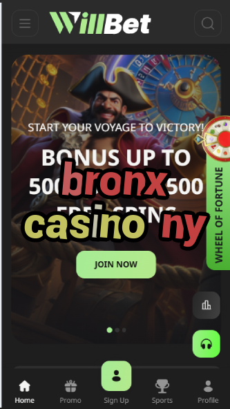 Bronx Casino NY - Best Gambling Venues in The Bronx-casinoorder.vip